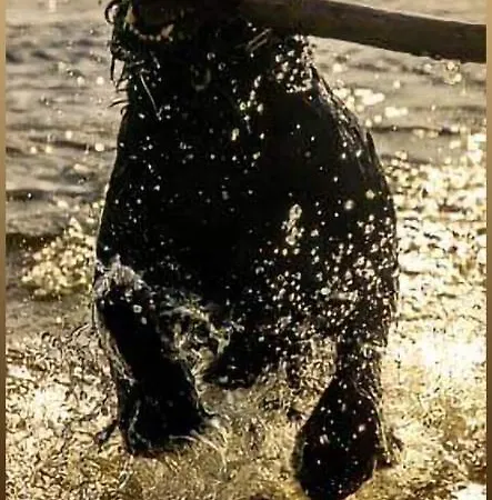 Zaravecchia * ビオグラード・ナ・モル