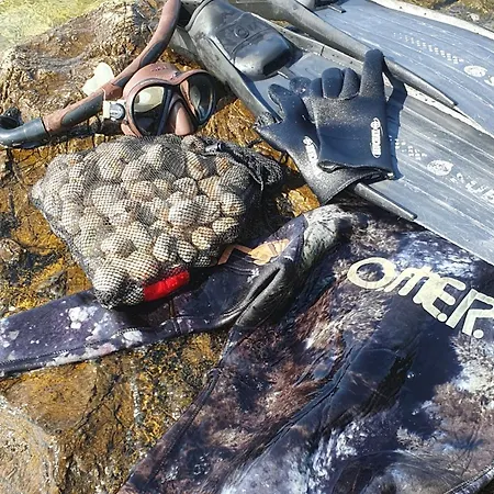 アパート Zaravecchia