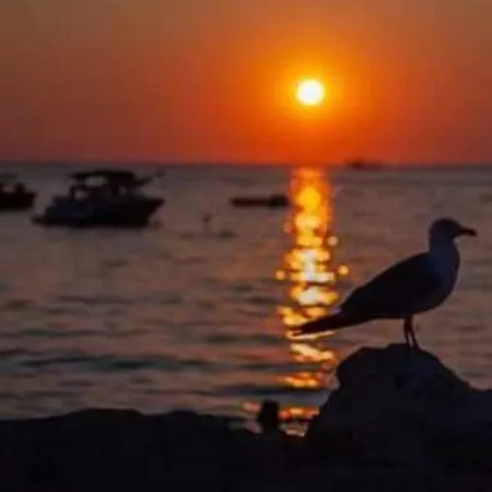 Zaravecchia * ビオグラード・ナ・モル