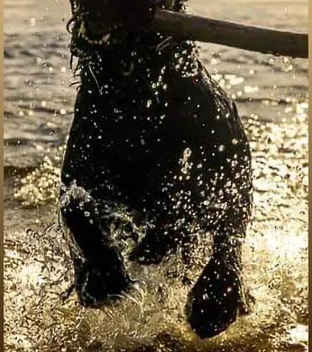 Zaravecchia * Biograd Na Moru