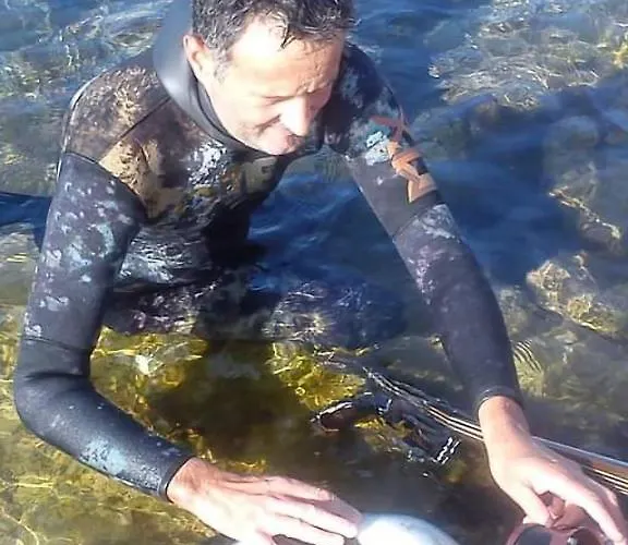 Apartament Zaravecchia