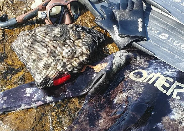 Apartament Zaravecchia