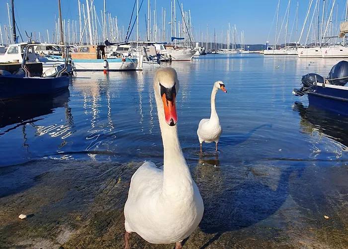 Apartament Zaravecchia Biograd Na Moru