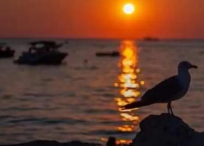 Zaravecchia * Biograd Na Moru