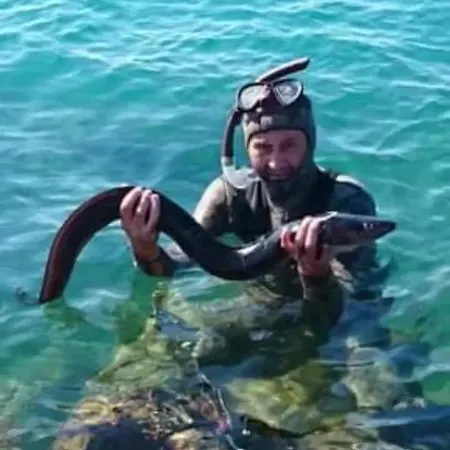 Zaravecchia Biograd Na Moru