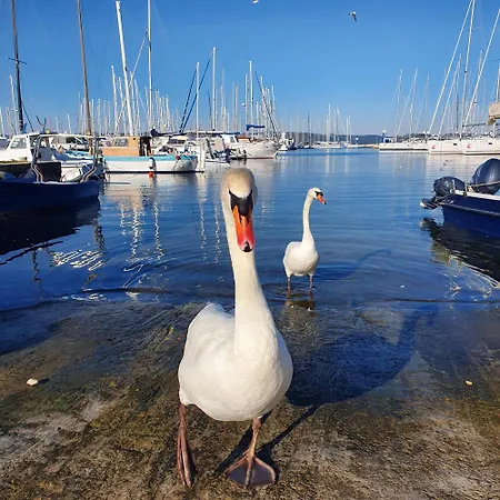 Apartament Zaravecchia Biograd Na Moru
