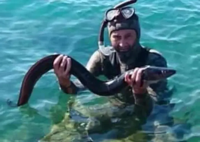 Zaravecchia بيوغْغاد نا موغو